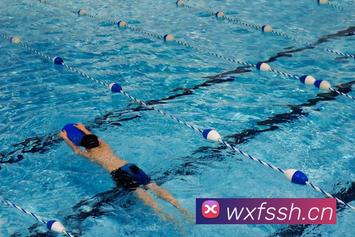 开云在线登陆入口服务体系